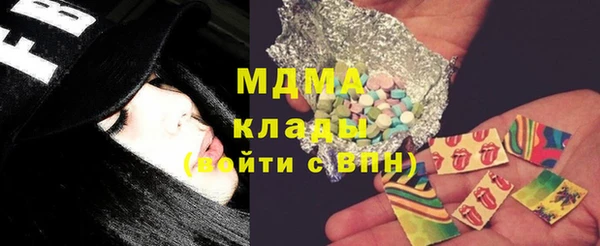 индика Богородицк