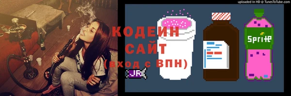 индика Богородицк