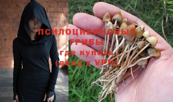 кокаин колумбия Белокуриха