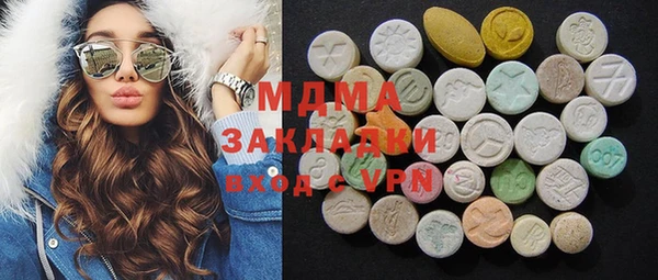 индика Богородицк