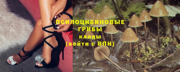 Альфа ПВП Богданович