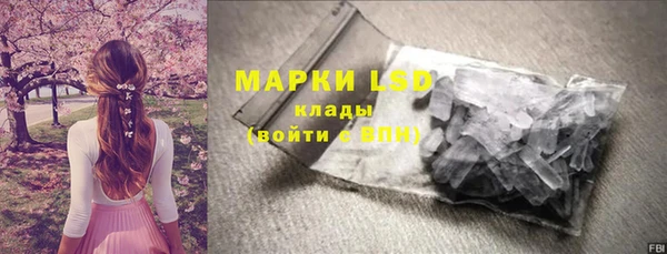 индика Богородицк